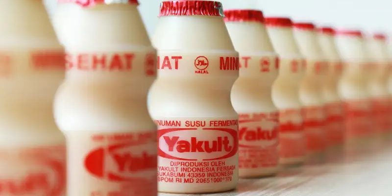 Apakah Ibu Hamil Boleh Minum Yakult? Ini Penjelasannya! 